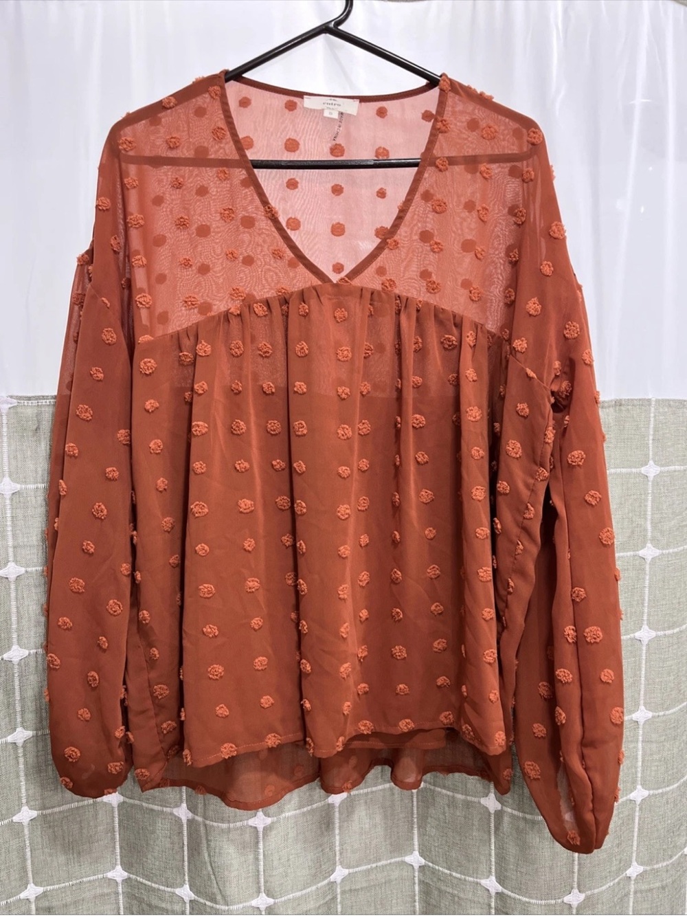 entro Rust Sheer Dot V-Neck Blouse